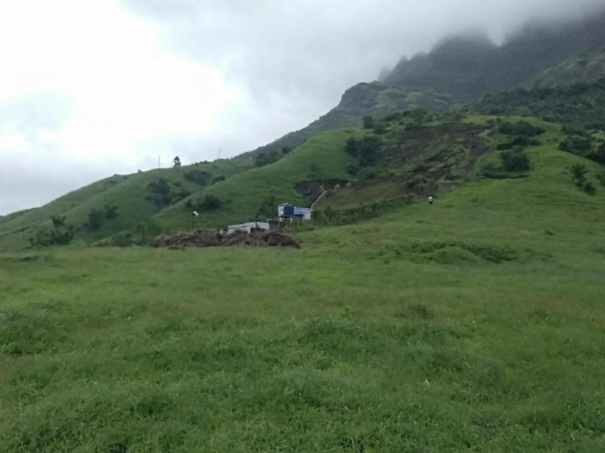 Jandyal Campsite *