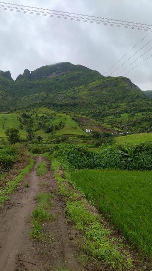 Campsite Jandyal Malshej Ghat